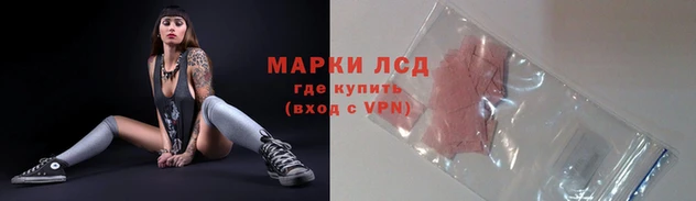 прущие грибы Володарск