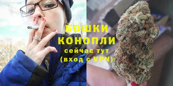 прущие грибы Володарск