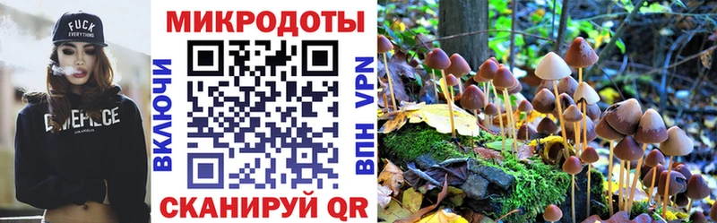 цена   Элиста  Псилоцибиновые грибы GOLDEN TEACHER 