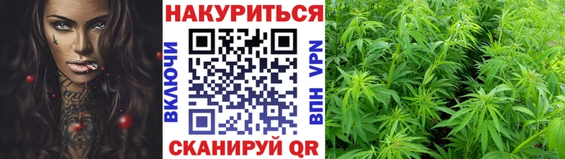 Бошки марихуана тримм  Элиста 